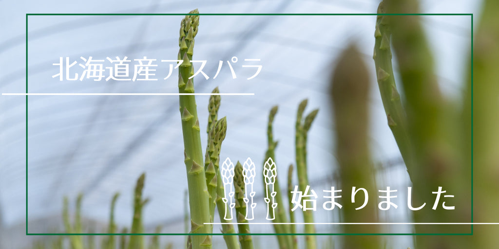 アスパラギフト